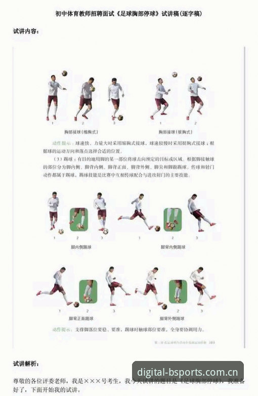 B体育最新版数据服务详解，新手入门与实用技巧介绍